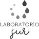 Logo Laboratorio Sur